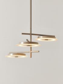 Suspension LED Maxine, Beige, larg. 51 x prof. 51 cm