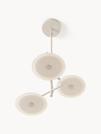 Suspension LED Maxine, Beige, larg. 51 x prof. 51 cm