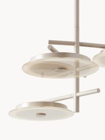 Lampada a sospensione a LED Maxine, Paralume: vetro, Beige chiaro, Larg. 51 x Prof. 51 cm