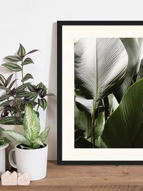 Stampa digitale incorniciata Palm Tree Leaves, Immagine: stampa digitale su carta,, Cornice: legno, verniciato, Multicolore, Larg. 43 x Alt. 53 cm