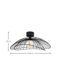 Grosse Decken- und Wandleuchte Ray, Lampenschirm: Metall, Schwarz, Ø 60 x H 20 cm