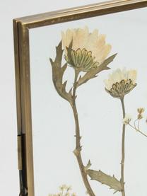 Marco Dried Flowers, Bronce, transparente, 10 x 15 cm