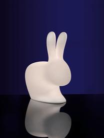 Bodenleuchte Rabbit, Kunststoff (Polyethylen), Weiß, 46 x 53 cm