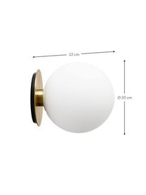 Kinkiet/lampa sufitowa LED TR Bulb, Odcienie mosiądzu, Ø 20 x G 22 cm