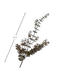Kunstzweig Eukalyptus, Umělá hmota, kovový drát, Hnědá, D 81 cm