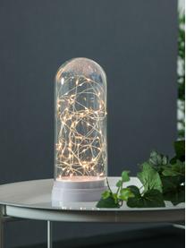 LED Leuchtobjekt Dome, batteriebetrieben, Kunststoff, Glas, Weiss, Transparent, Ø 11 x H 25 cm