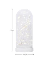 Pieza luminosa LED Dome, a pilas, Pantalla: vidrio, Blanco, transparente, Ø 11 x Al 25 cm