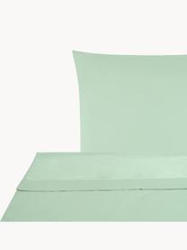 Biancheria da letto in raso di cotone verde salvia Comfort, Tessuto: raso Densità del filo 250, Verde salvia, 240 x 300 cm + 2 federe 50 x 80 cm