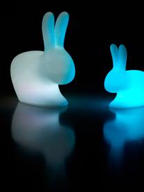 Borne d'éclairage LED mobile intensité variable Rabbit, Blanc