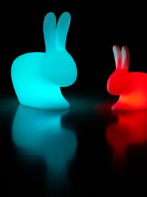 Borne d'éclairage LED mobile intensité variable Rabbit, Blanc