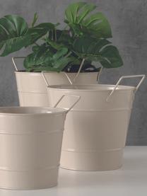 Plantenpottenset Derby van metaal in beige, 3-delig, Gepoedercoat metaal, Beige, Set met verschillende formaten