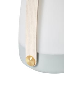 Lampada portatile dimmerabile da esterno Lite-up, Paralume: materiale sintetico, Struttura: legno, silicone, Manico: legno, Blu, bianco, marrone chiaro, Ø 20 x Alt. 26 cm