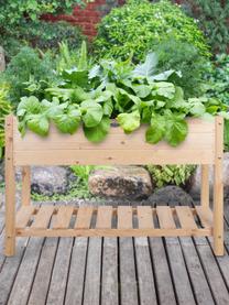 Osłonka na doniczki Vegetables, Drewno sosnowe, S 118 x W 78 cm