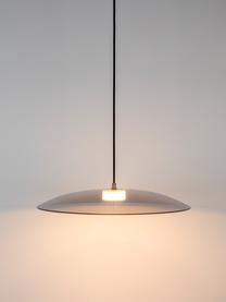 Dimbare LED hanglamp Float van glas, Lampenkap: glas, Baldakijn: gecoat metaal, Goudkleurig, transparant, Ø 50 x H 7 cm