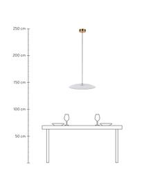 Lámpara de techo LED regulable de vidrio Float, Pantalla: vidrio, Anclaje: metal recubierto, Cable: cubierto en tela, Dorado, transparente, Ø 50 x Al 7 cm