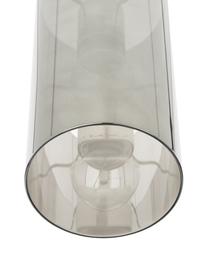Lámpara pequeña de techo Storm, Pantalla: vidrio recubierto, Gris plata, transparente, níquel, Ø 12 x Al 31 cm