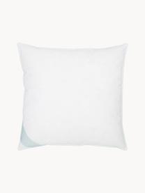 Almohada de plumas Comfort, dura, Funda: 100% algodón, sarga de Ma, Blanco con ribete turquesa satinado, An 65 x L 65 cm