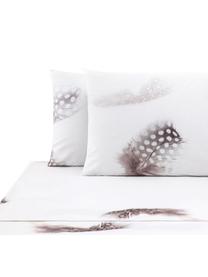 Set lenzuola in cotone Light, Tessuto: Renforcé Numero di fili 1, Bianco, marrone, grigio, 240 x 270 cm + 2 federe 50 x 75 cm