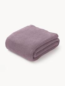 Strickdecke Adalyn, 100% Bio-Baumwolle, GOTS-zertifiziert, Lavendel, B 150 x L 200 cm