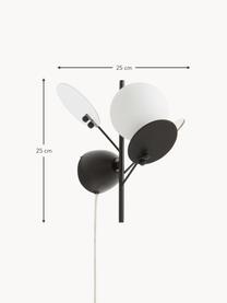 Design-Wandleuchte Petal mit Stecker, Lampenschirm: Opalglas, Dekor: Glas, Schwarz, Transparent, T 28 x H 25 cm