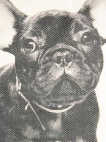 Kissenhülle Dog, 100% Polyester, Gebrochenes Weiss, Schwarz, 45 x 45 cm