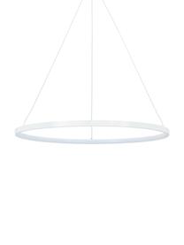 Lampa wisząca LED Jay, Osłona mocowania sufitowego: biały, matowy Klosz: biały, matowy Kabel: odcienie , Ø 60 x W 150 cm