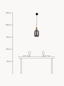 Hanglamp Smoky, Lampenkap: rookglas, Goudkleurig, donkergrijs, Ø 21 x H 21 cm