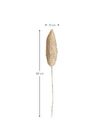 Oggetto decorativo Planta de Praia, Foglie di banana, intrecciate, Beige, L 15 x A 80 cm