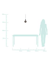 Přenosné závěsné svítidlo s časovačem Bowl, Tmavě šedá, transparentní, černá