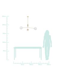 Lámpara de techo grande Darcy, Anclaje: metal cepillado, Latón, blanco, An 98 x Al 85 cm