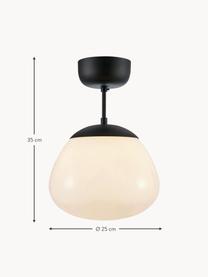 Lampada da soffitto Rise, Paralume: vetro, Baldacchino: acciaio verniciato, Bianco crema, nero, Ø 25 x Alt. 35 cm