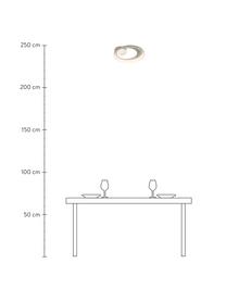 Dimbare LED plafondlamp Carat in wit/zilverkleur, Lampenkap: gecoat aluminium, Baldakijn: gecoat metaal, Wit, zilverkleurig, Ø 36 x H 7 cm