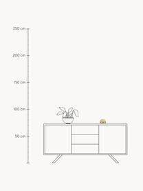 Sterrenhemelprojector Dinosaurs met timer, ABS-kunststof, Dinosaurus, Ø 14 x H 9 cm