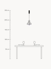 Kleine LED-Pendelleuchte Bangkok, Lampenschirm: Glas, Grau transparent, Schwarz, Ø 25 x H 58 cm