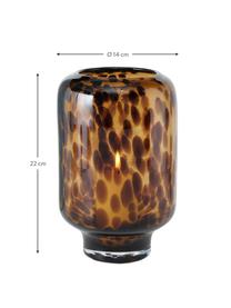 Windlicht Leopard aus Glas, Glas, gefärbt, Brauntöne, Ø 14 x H 22 cm