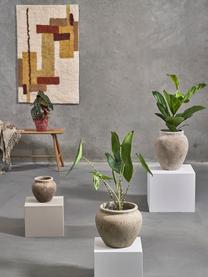 Grote plantenpot Loev van cement met antieke afwerking, Cement, Beige, Ø 31 x H 36 cm