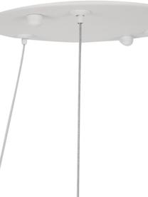 Große LED-Pendelleuchte Breda in Weiß, Lampenschirm: Aluminium, Baldachin: Aluminium, Weiß, Ø 70 x H 200 cm