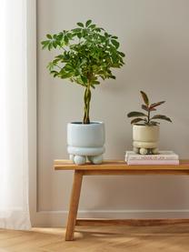 Kleine plantenpot Bryn, Keramiek, Olijfgroen, Ø 17 x H 18 cm