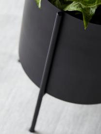 Grand cache-pot noir avec support Milton, Métal, enduit, Noir, mat, Ø 25 x haut. 45 cm