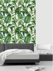 Zelfklevend behang Leaves, Zelfklevende vinyl folie, Wit, groen, 90 x 250 cm