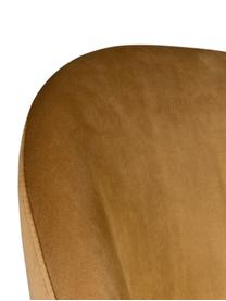 Fluwelen stoel Barbara, Bekleding: 100% polyester fluweel, Poten: gelakt beukenhout, Bekleding: geel. Poten: walnootbruin, 51 x 85 cm