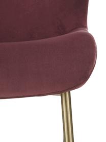 Fluwelen stoel Tess in bordeauxrood, Bekleding: fluweel (polyester), Poten: gepoedercoat metaal, Fluweel bordeauxrood, goudkleurig, B 49 x D 64 cm