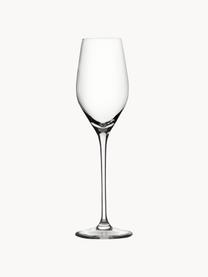 Kristall-Champagnergläser Exquisit, 6 Stück, Kristallglas, Transparent, Ø 7 x H 25 cm, 265 ml