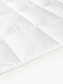 Daunen-Bettdecke Comfort, mittel, Hülle: 100% Baumwolle, feine Mak, Mittel, B 135 x L 200 cm