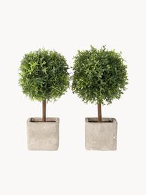 Set 2 alberi artificiali fatti a mano Moni, Verde, beige chiaro, Lung. 26 cm
