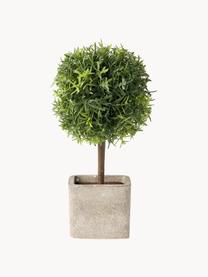 Handgemaakte kunstbomen Moni, set van 2, Groen, lichtbeige, L 26 cm