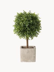 Handgemaakte kunstbomen Moni, set van 2, Groen, lichtbeige, L 26 cm