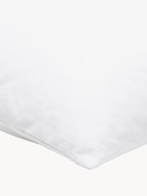 Imbottitura cuscino in microfibra Sia, 60x60 cm, Bianco, Larg. 60 x Lung. 60 cm