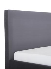 Letto imbottito in velluto grigio scuro Peace, Rivestimento: velluto di poliestere 290, Piedini: metallo verniciato a polv, Tessuto grigio scuro, 180 x 200 cm