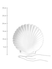 Teller Shell in Muschelform, 2 Stück, Keramik, Weiss, Ø 20 cm